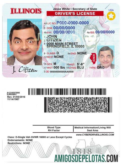 Carta de condução dos EUA em Illinois modelo